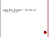 Dievų miškas skaidrės 12 puslapis