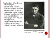 Dievų miškas skaidrės 13 puslapis