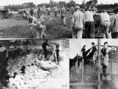 Dievų miškas skaidrės 15 puslapis