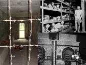 Dievų miškas skaidrės 10 puslapis