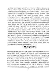 Muitai tarp Lietuvos ir Rusijos 5 puslapis