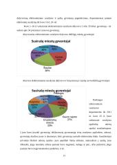 Gyventojų registro tarnyba 12 puslapis