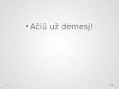 Infliacija skaidrės 11 puslapis