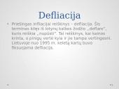 Infliacija skaidrės 10 puslapis