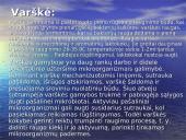 Pieno produktų gamybos mikrobiologiniai procesai ir jų vykdymas  14 puslapis