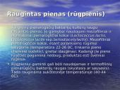 Pieno produktų gamybos mikrobiologiniai procesai ir jų vykdymas  9 puslapis