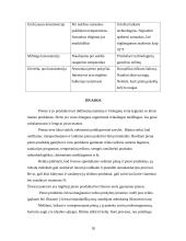 Praktikos ataskaita pieno fabrike 18 puslapis