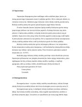 Praktikos ataskaita pieno fabrike 7 puslapis