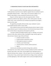 Praktikos ataskaita pieno fabrike 10 puslapis
