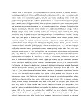 Apžvalginė ekskursija po šiaulius. Gido praktikos ataskaita 5 puslapis