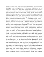 Apžvalginė ekskursija po šiaulius. Gido praktikos ataskaita 6 puslapis