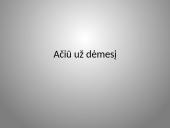 Rasizmas Lietuvoje 13 puslapis