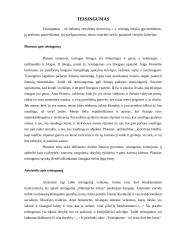 Teisingumas ir diskriminacija 2 puslapis