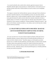 Pilietybės institutas lietuvoje 9 puslapis