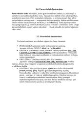 Komunikavimas su japonais 4 puslapis