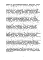 Komunikavimas su japonais 7 puslapis