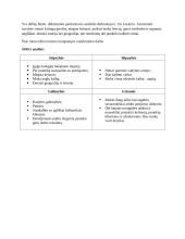 SSGG analizė pavyzdžiai 2 puslapis