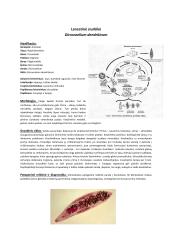 Parazitinių pirmuonių, kirmelių ir nariuotakojų konspektas 2 puslapis