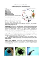 Parazitinių pirmuonių, kirmelių ir nariuotakojų konspektas 14 puslapis
