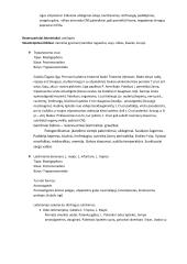 Parazitinių pirmuonių, kirmelių ir nariuotakojų konspektas 16 puslapis