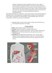 Parazitinių pirmuonių, kirmelių ir nariuotakojų konspektas 19 puslapis