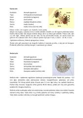 Parazitinių pirmuonių, kirmelių ir nariuotakojų konspektas 20 puslapis