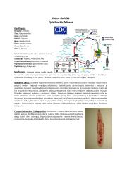 Parazitinių pirmuonių, kirmelių ir nariuotakojų konspektas 3 puslapis