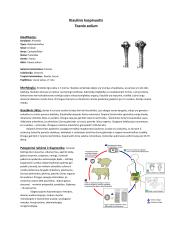 Parazitinių pirmuonių, kirmelių ir nariuotakojų konspektas 5 puslapis