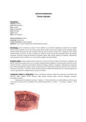 Parazitinių pirmuonių, kirmelių ir nariuotakojų konspektas 6 puslapis