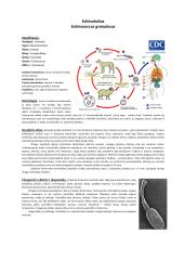 Parazitinių pirmuonių, kirmelių ir nariuotakojų konspektas 9 puslapis