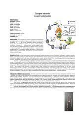 Parazitinių pirmuonių, kirmelių ir nariuotakojų konspektas 10 puslapis
