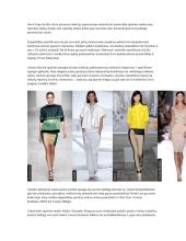 Aprangos stiliai 14 puslapis