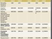 Verslo planas: Transporto logistika 13 puslapis