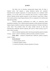 Kompiuterizuotos buhalterinės apskaitos programų „Rivilė“ ir „Stekas“ analizė 3 puslapis