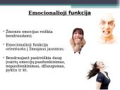 Komunikacijos organizacijoje tikslai ir funkcijos 10 puslapis