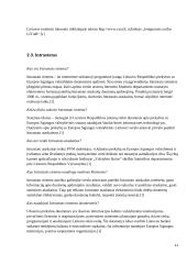 Muitinės viešųjų e-paslaugų verslo subjektams brandos nustatymo tyrimas 11 puslapis