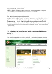Muitinės viešųjų e-paslaugų verslo subjektams brandos nustatymo tyrimas 12 puslapis