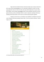 Muitinės viešųjų e-paslaugų verslo subjektams brandos nustatymo tyrimas 13 puslapis