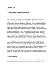 Muitinės viešųjų e-paslaugų verslo subjektams brandos nustatymo tyrimas 4 puslapis