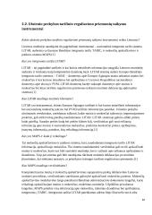 Muitinės viešųjų e-paslaugų verslo subjektams brandos nustatymo tyrimas 10 puslapis