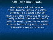 Radioaktyvumas skaidrės 4 puslapis