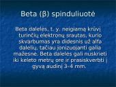 Radioaktyvumas skaidrės 5 puslapis