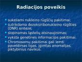 Radioaktyvumas skaidrės 10 puslapis
