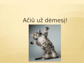 Trojos arklys 7 puslapis