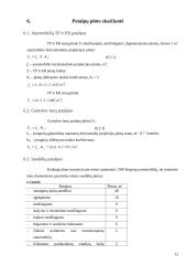 Miesto tipo TPS projektavimas 12 puslapis