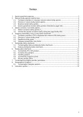 Miesto tipo TPS projektavimas 3 puslapis