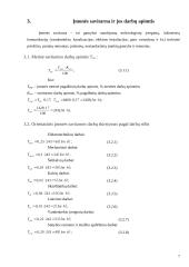 Miesto tipo TPS projektavimas 7 puslapis