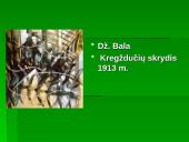 Skaidrės apie futurizmą 9 puslapis