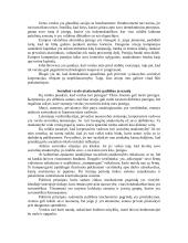 Kam skirtas verslas?  2 puslapis