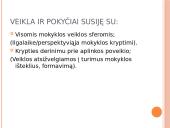 Mokyklos strateginis valgymas. Jo planavimas 11 puslapis